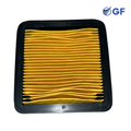 FILTRO DE AIRE TVS 200 APACHE GF